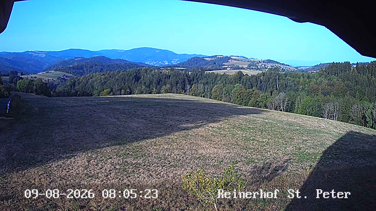 192.168.2.104_01_20260809080522805_TIMING.jpg